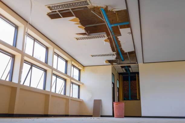 Best Local water damage restoration  in Hideo, UT