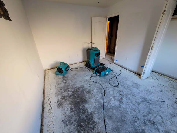 Best Water damage restoration process  in Hideo, UT