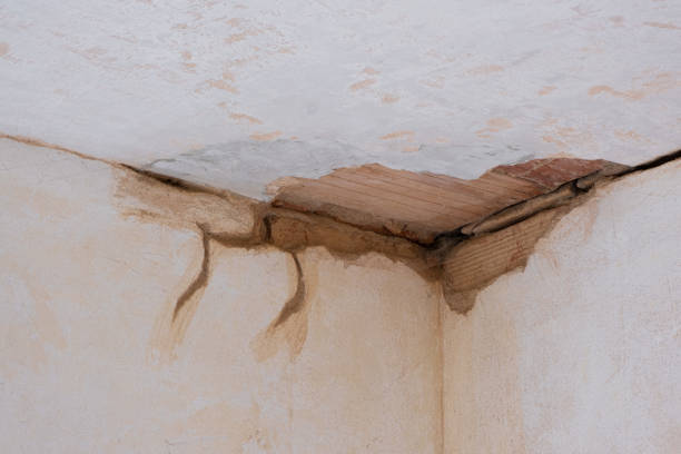 Best Water damage restoration company  in Hideo, UT