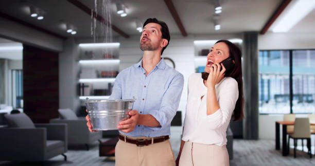 Best Water damage cleanup near me  in Hideo, UT
