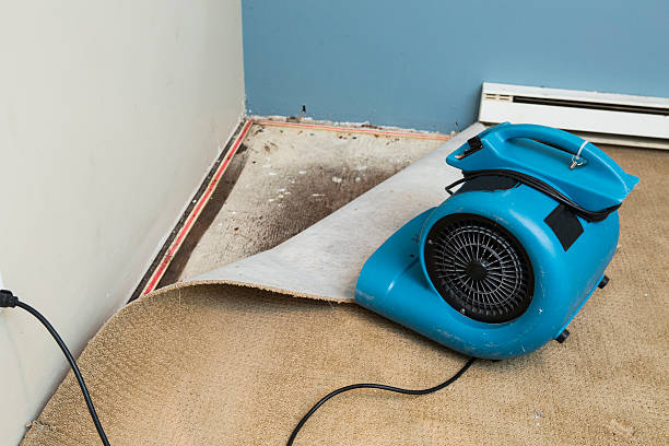 Best Water damage contractors near me  in Hideo, UT